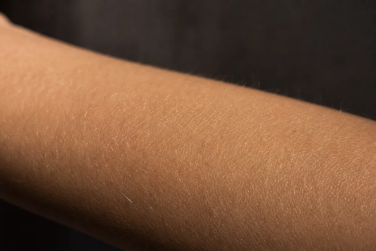Peau en macro sur un avant-bras, texture et grain visibles sous lumière rasante